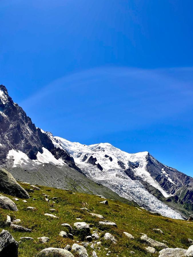 Le Nid De L'Aiguille - Au Pied De L'Aiguille Du Midi Apartment Chamonix Exterior foto